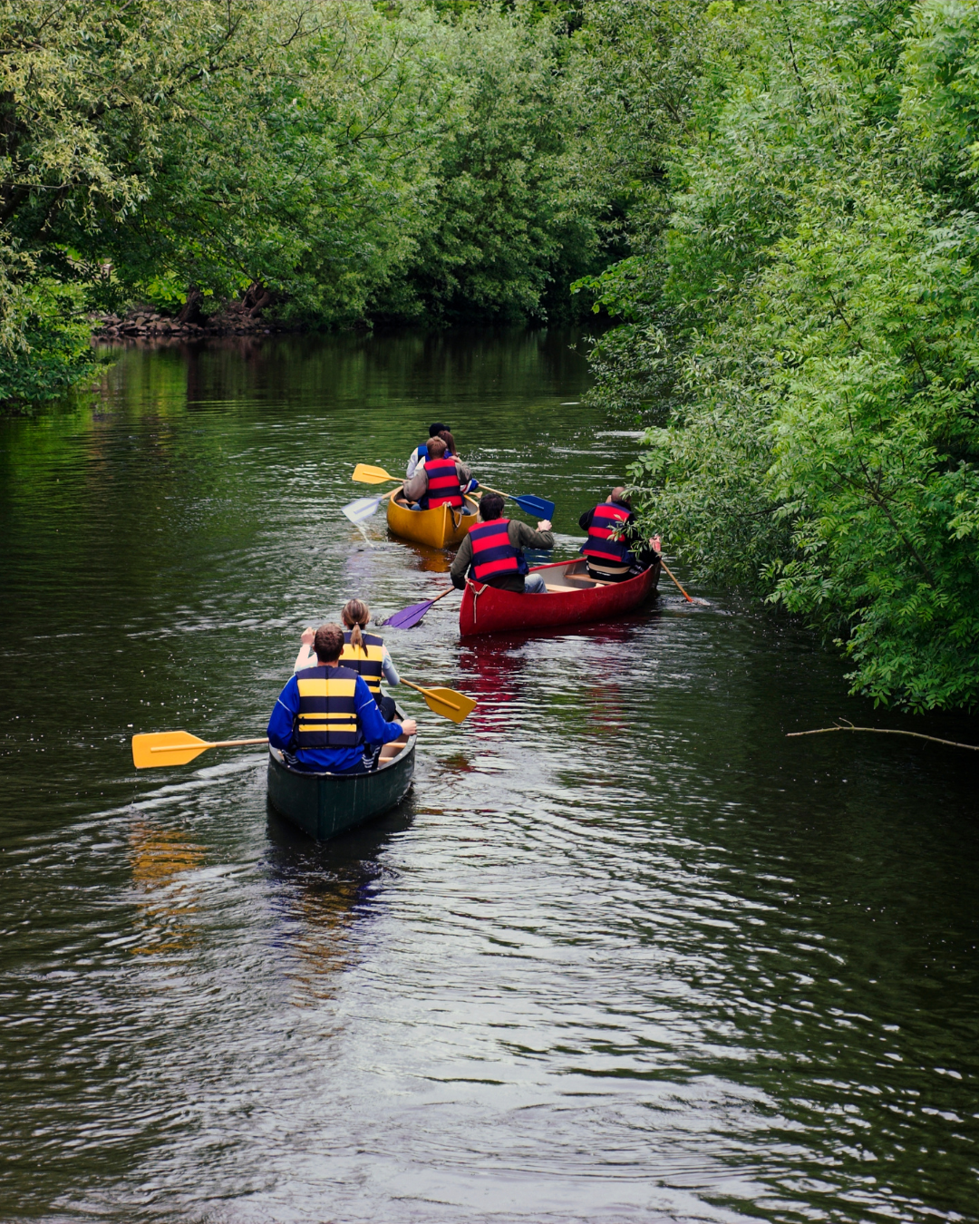 Wasserwandern